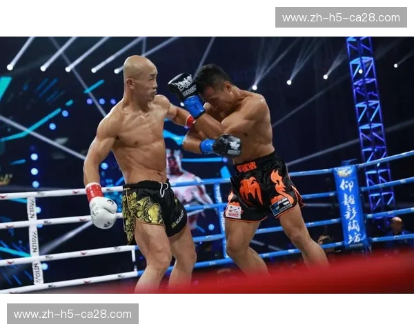 龙虎争霸，巅峰对决：一龙vs播求2015，武林传奇的诞生